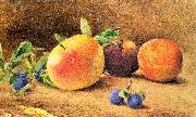 Study of Fruit
